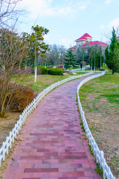 公園小路