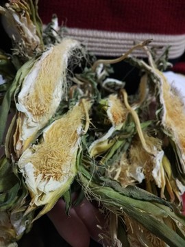 霸王花