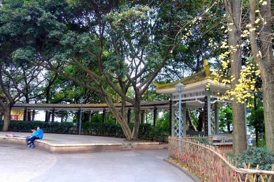 涼亭 廊橋 公園一角