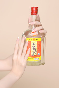 手模特美手美甲