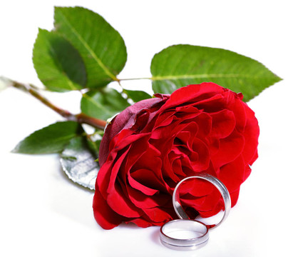 紅玫瑰和兩枚結(jié)婚戒指