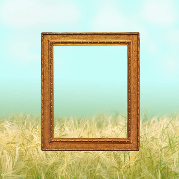金色空框?qū)χ溙锉尘? style=