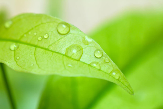 白底水滴