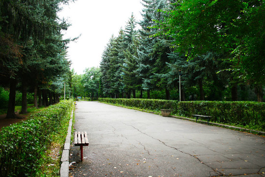 公園里的小路