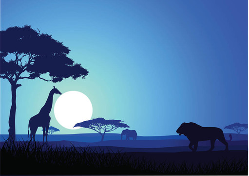 Safari的背景