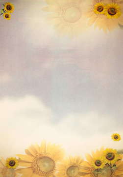 太陽花紙