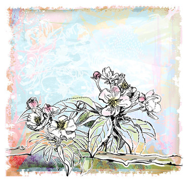 蘋果開花示意圖