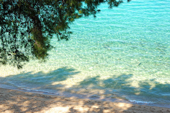 愛琴海的沙灘和綠松石水；Halkidiki；希臘