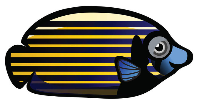 熱帶魚
