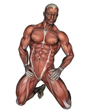 跪