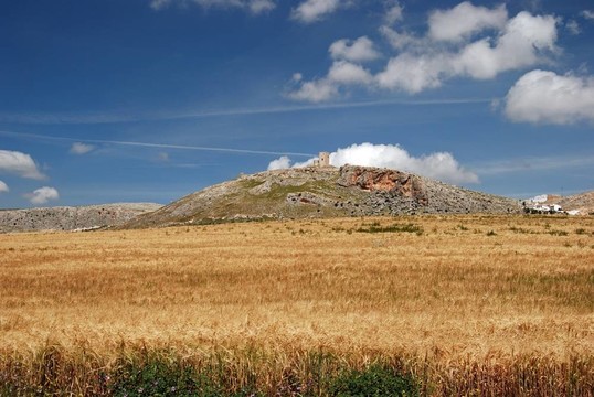 麥田和城堡；Teba。
