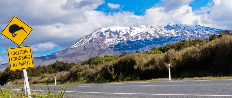 獼猴桃交叉道路標(biāo)志和火山Ruapehu；NZ