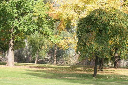秋天的公園2