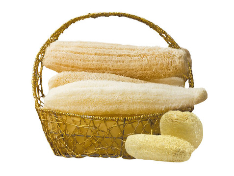 lloofah SPA分離