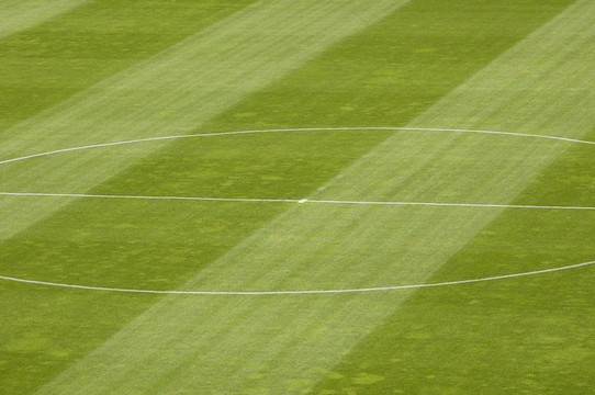 足球Field Grass