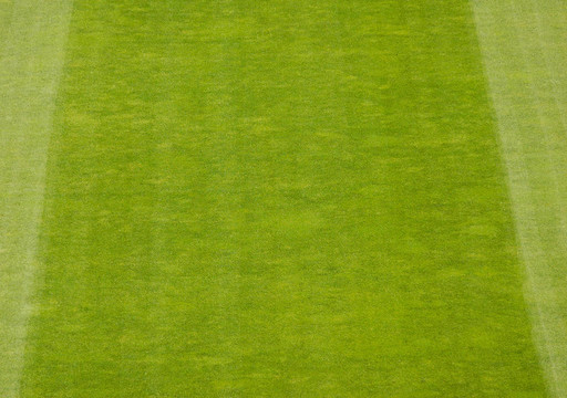 足球Field Grass