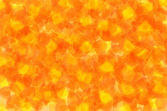 摘要花