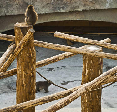 zoopark