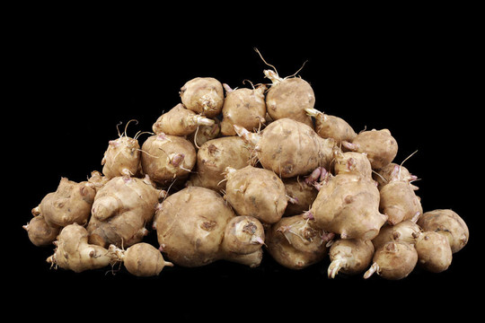 sunroots；Helianthus tuberosus