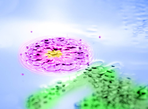 水的花