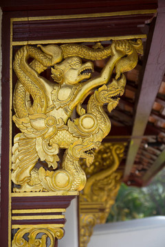 在皇太后廟；大學(xué)