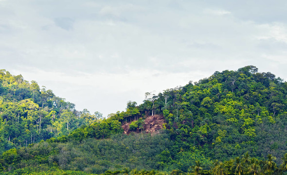 泰國山