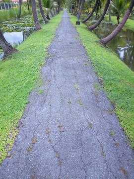 花園路徑