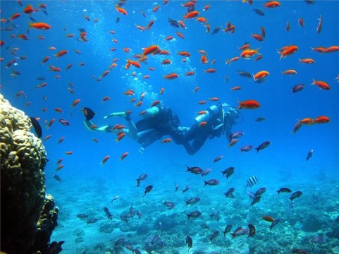 兩浮潛水