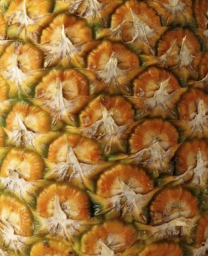 菠蘿特寫細節(jié)