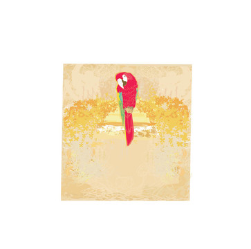 五彩繽紛的鸚鵡鳥(niǎo)