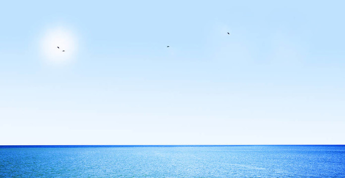 藍(lán)色的天空和海洋鳥類飛行；