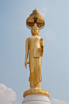 泰國活佛
