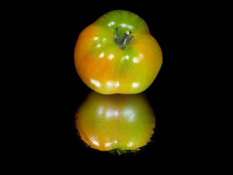 鮮食番茄