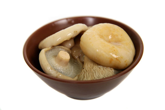 腌蘑菇飛碟孤立在白色棕色