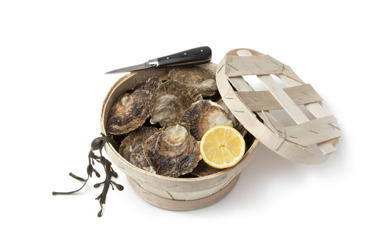 篮子里的新鲜欧洲扁牡蛎