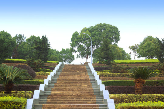 環(huán)北公園 梯