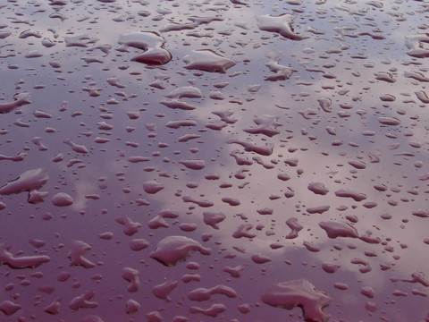 雨水滴紋理細(xì)致的背景
