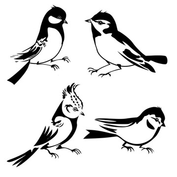 白色背景上的鳥(niǎo)類(lèi)剪影；