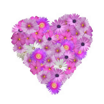 花的心