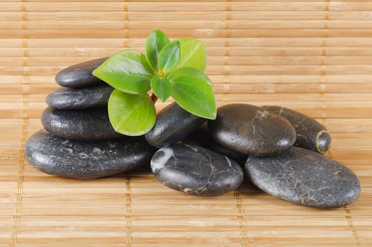 竹上的溫泉