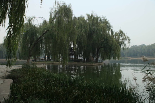 中國景觀