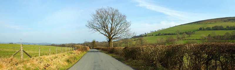 狹窄的鄉(xiāng)村道路全景近加思；英國(guó)威爾士。