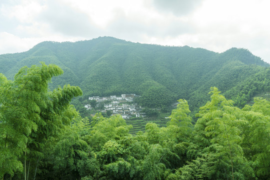 木坑竹海