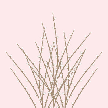 春天，柳樹的枝條