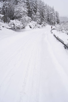 走在雪地上