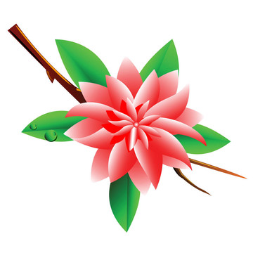 嬌嫩的花。