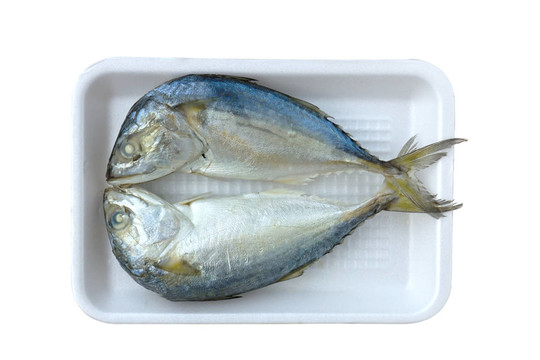 兩鯖魚