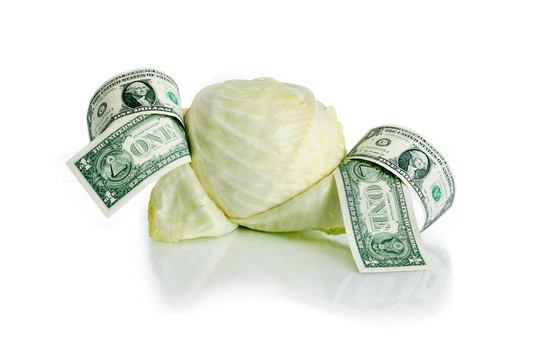 白菜和金錢