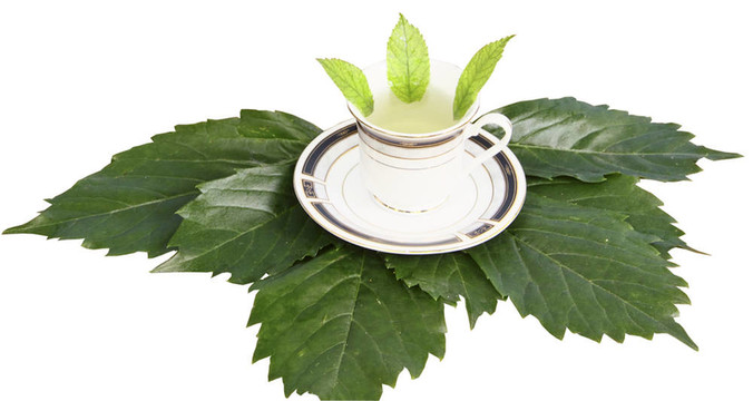 綠茶上的馬克杯