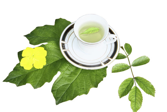 綠茶上的馬克杯